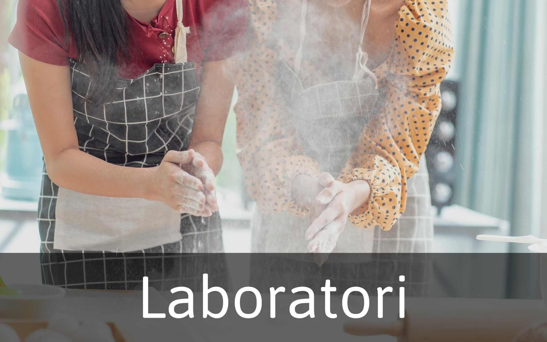 laboratori