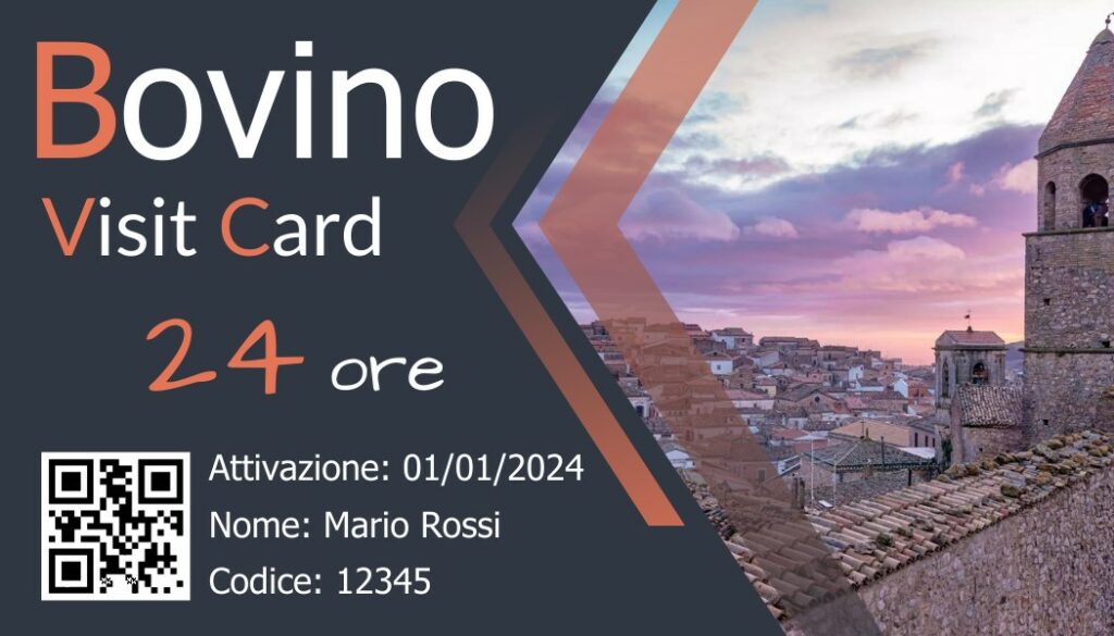 Bovino Visit Card 24 ore